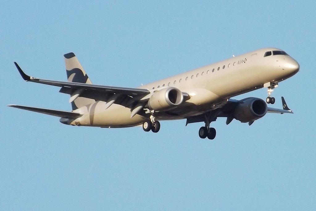 Embraer Lineage 1000 — A6-AJH (8830512064).jpg